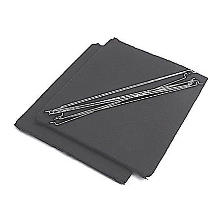 Filtre à charbon AirForce LOT DE 2 pour modèles HLAMP - F00264-1