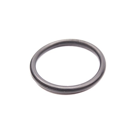 Joint gicleur lave-vaisselle Ariston Indesit Scholtès - C00084600