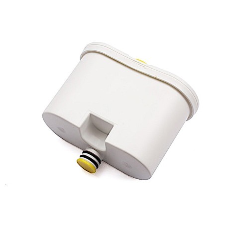Filtre anti-calcaire pour fer à repasser DELONGHI - 5512810031